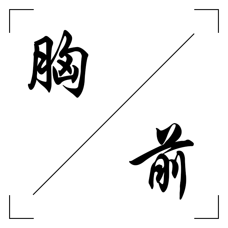 胸前封面