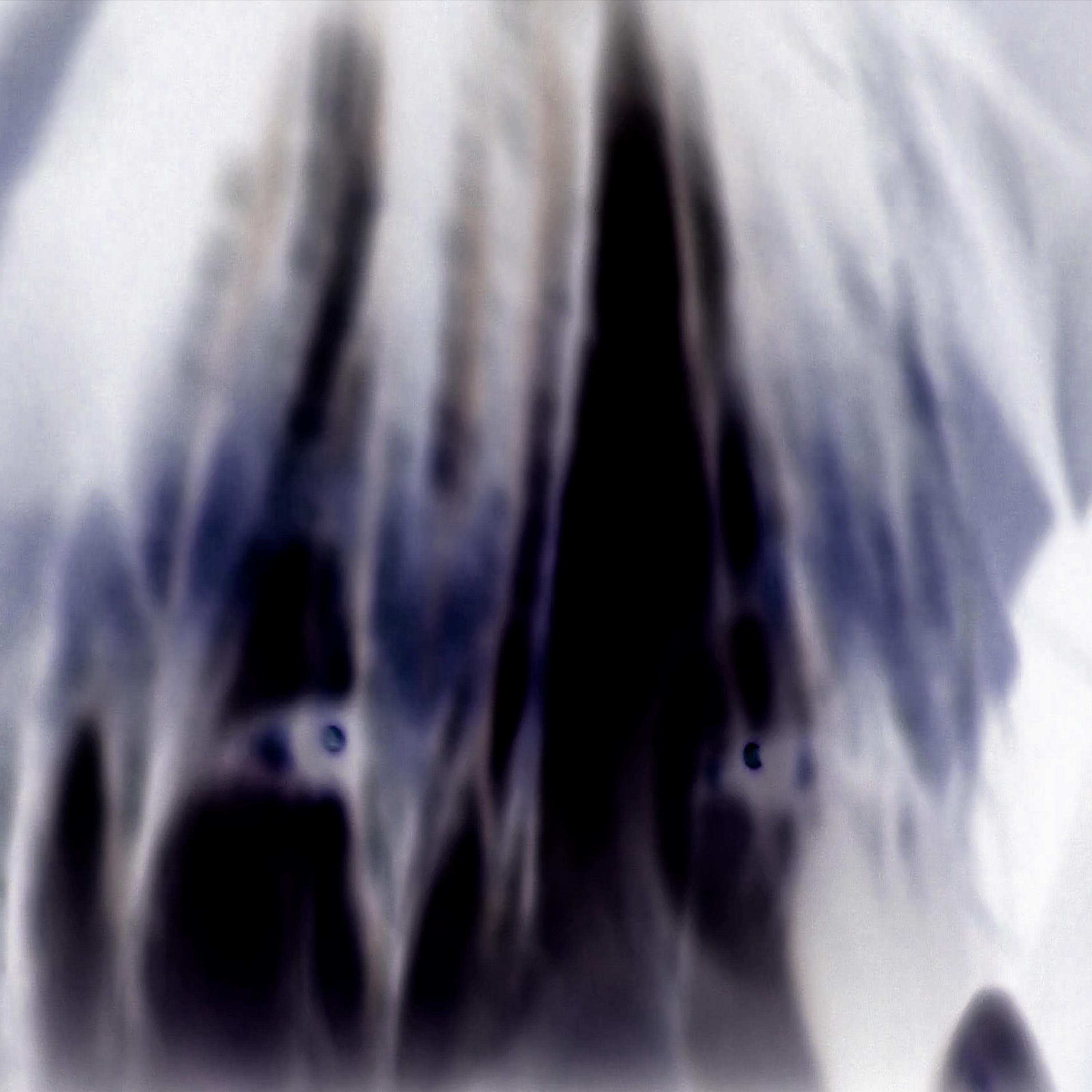 globalheatdeath (feat. Good Intent, Warpstr & GG12)