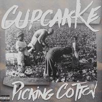 Picking Cotton