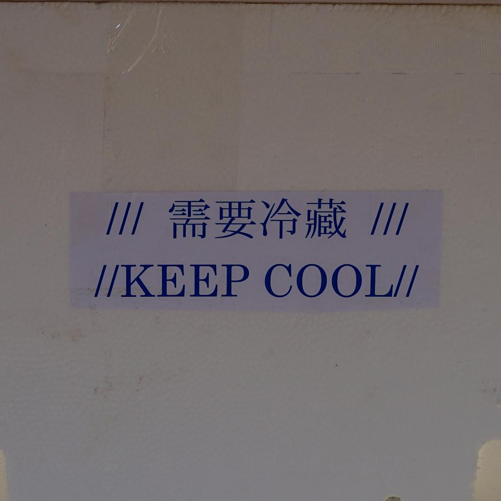 大抑術家休養所