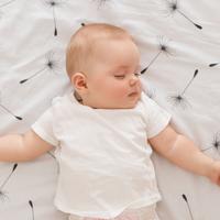 Nighttime Nectar: Peaceful Sounds for Baby Sleep