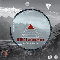 Dream & Reality (Mr.What Remix)