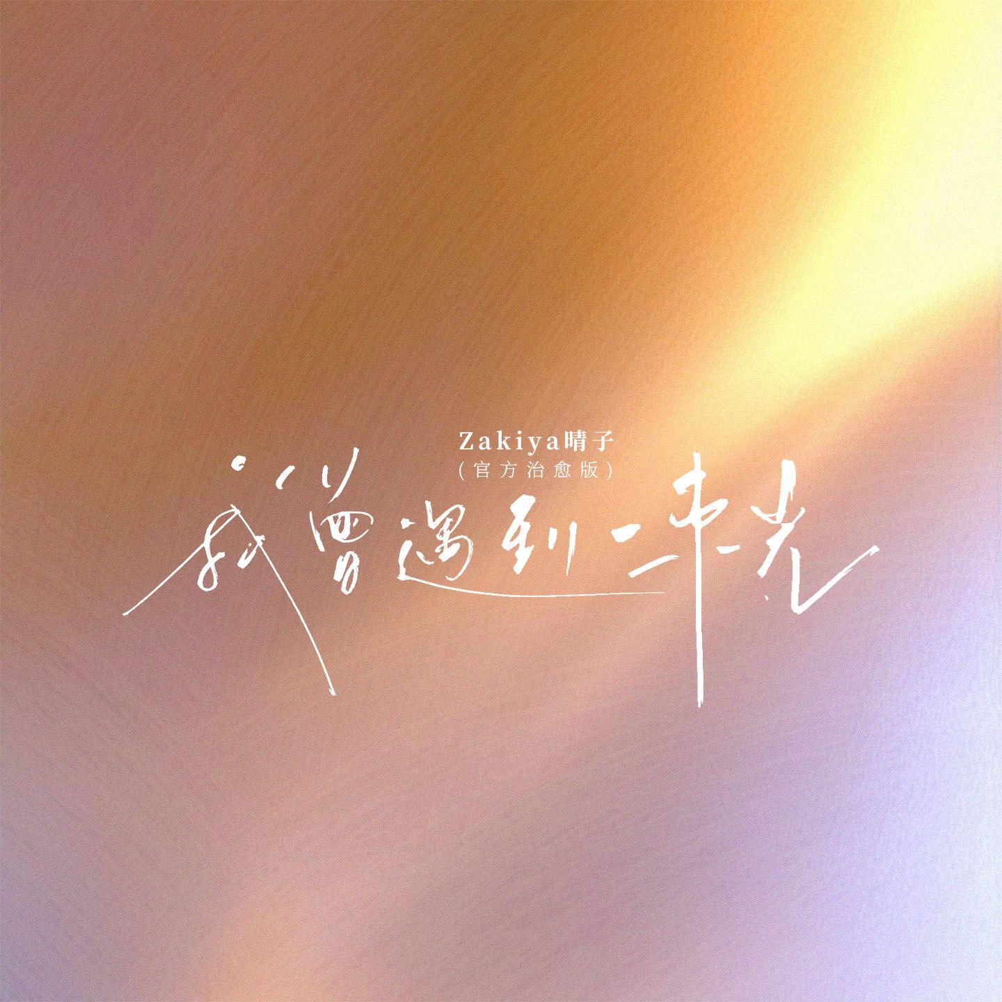 我曾遇到一束光(官方治愈版)封面