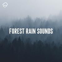 Forest Rain Sounds