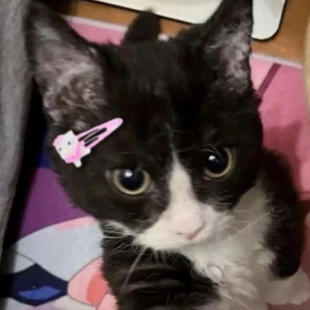 今天咱也要好好听歌