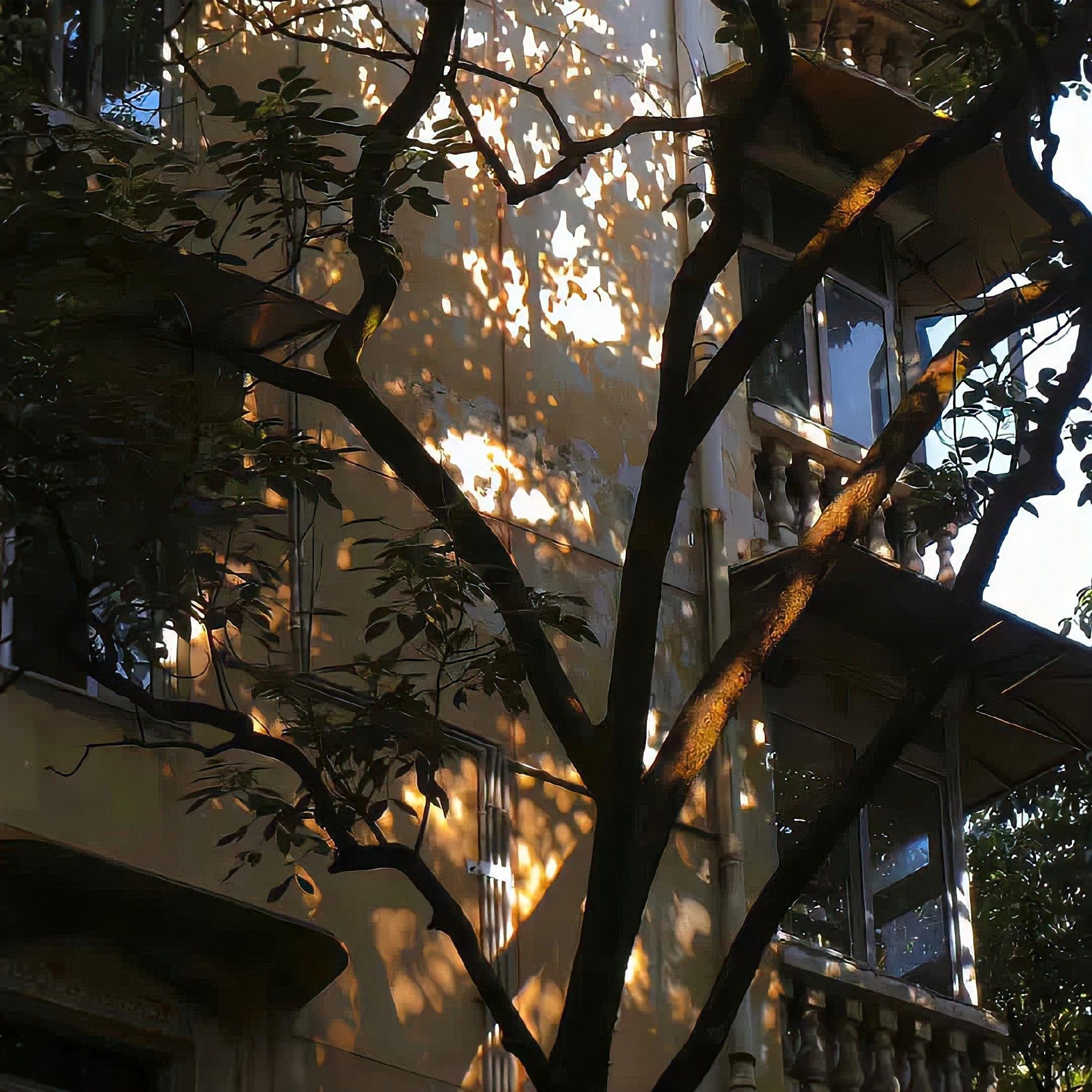 爱情闯进门封面