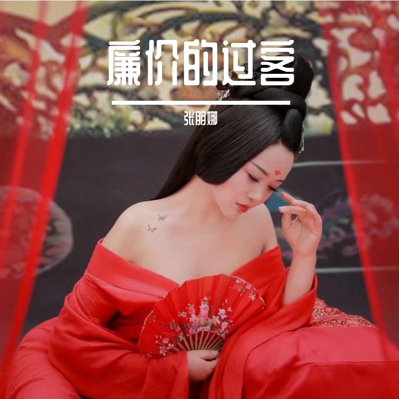 廉价的过客 - 张朋娜封面