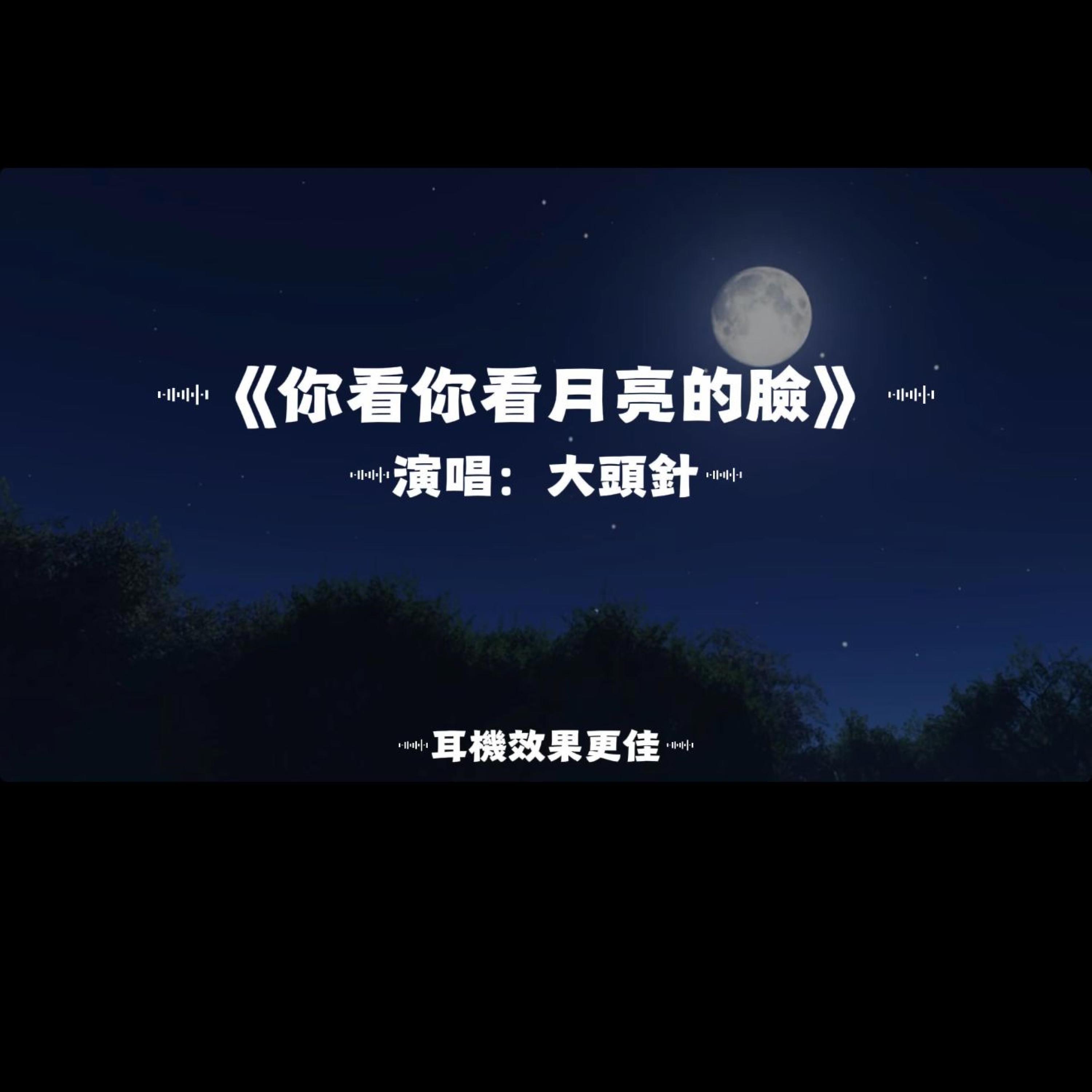 你看你看月亮的臉/大頭針封面