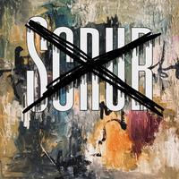Scrub Interlude