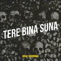 Tere Bina Suna