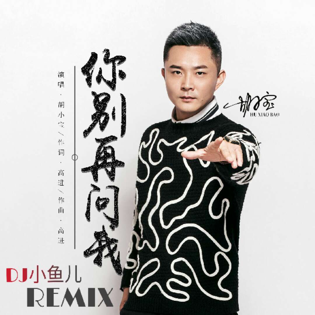 胡小宝 - 你别再问我(yt_official remix)