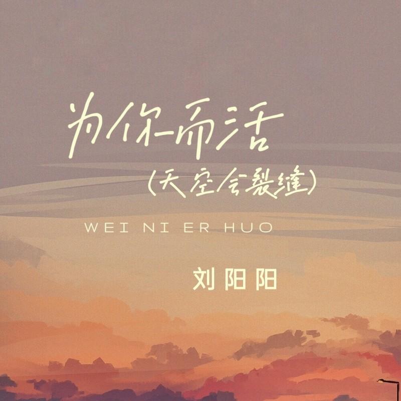 为你而活 (天空会裂缝) - 刘阳阳封面