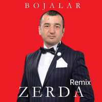 Zerda(Remix)