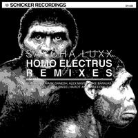 Homo Electrus Remixes