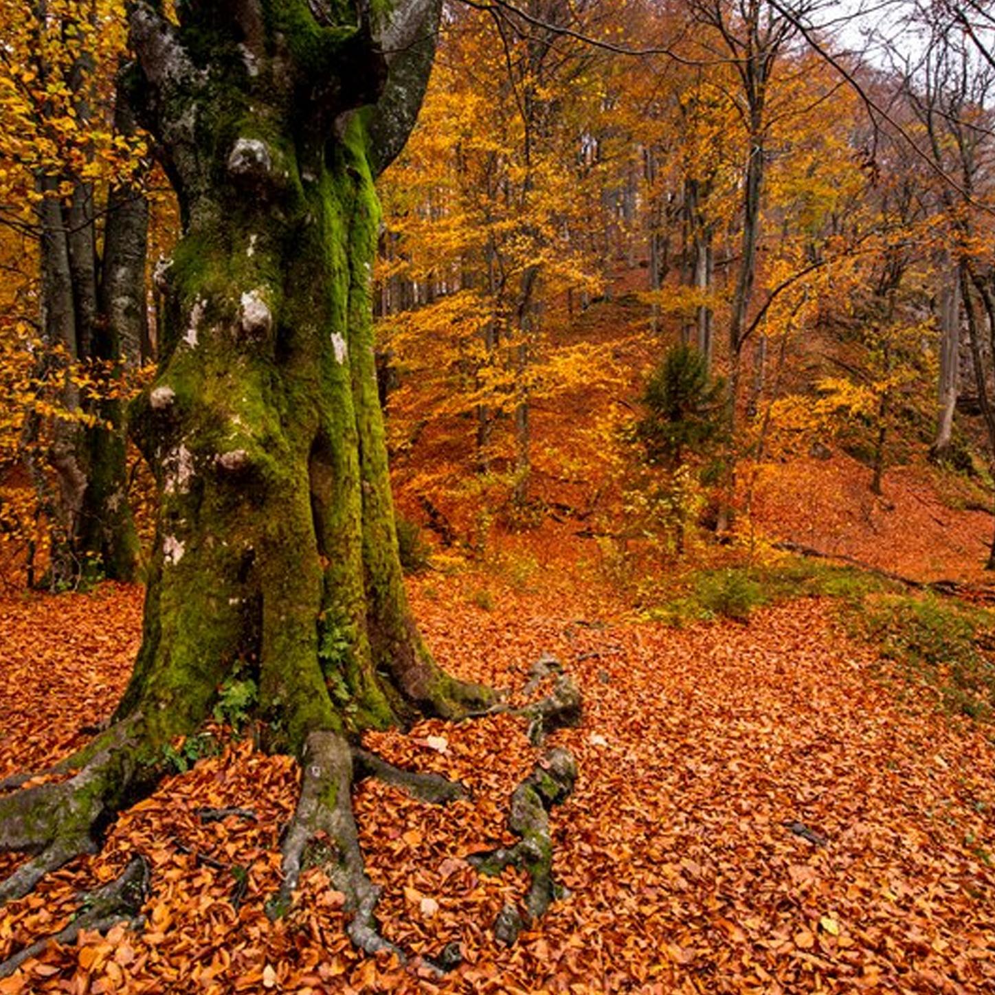 Khula Ha Sabhi K Liay