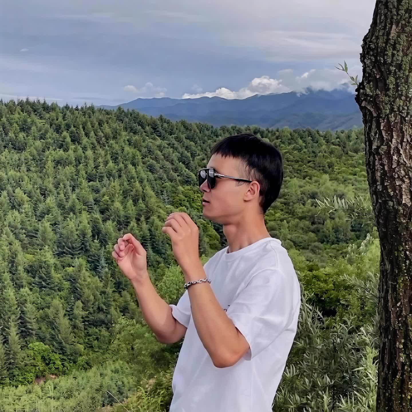 我的三甲集封面