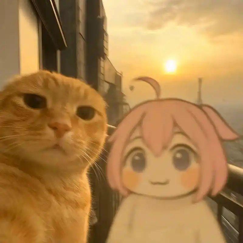 nobatidao封面