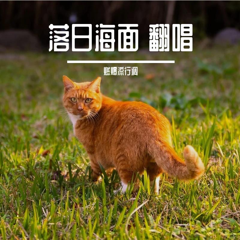 落日海面 第2首翻唱 - 燃爆流行调封面