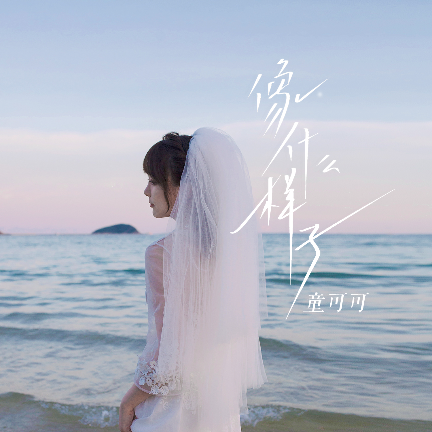 像什么样子 (伴奏)封面