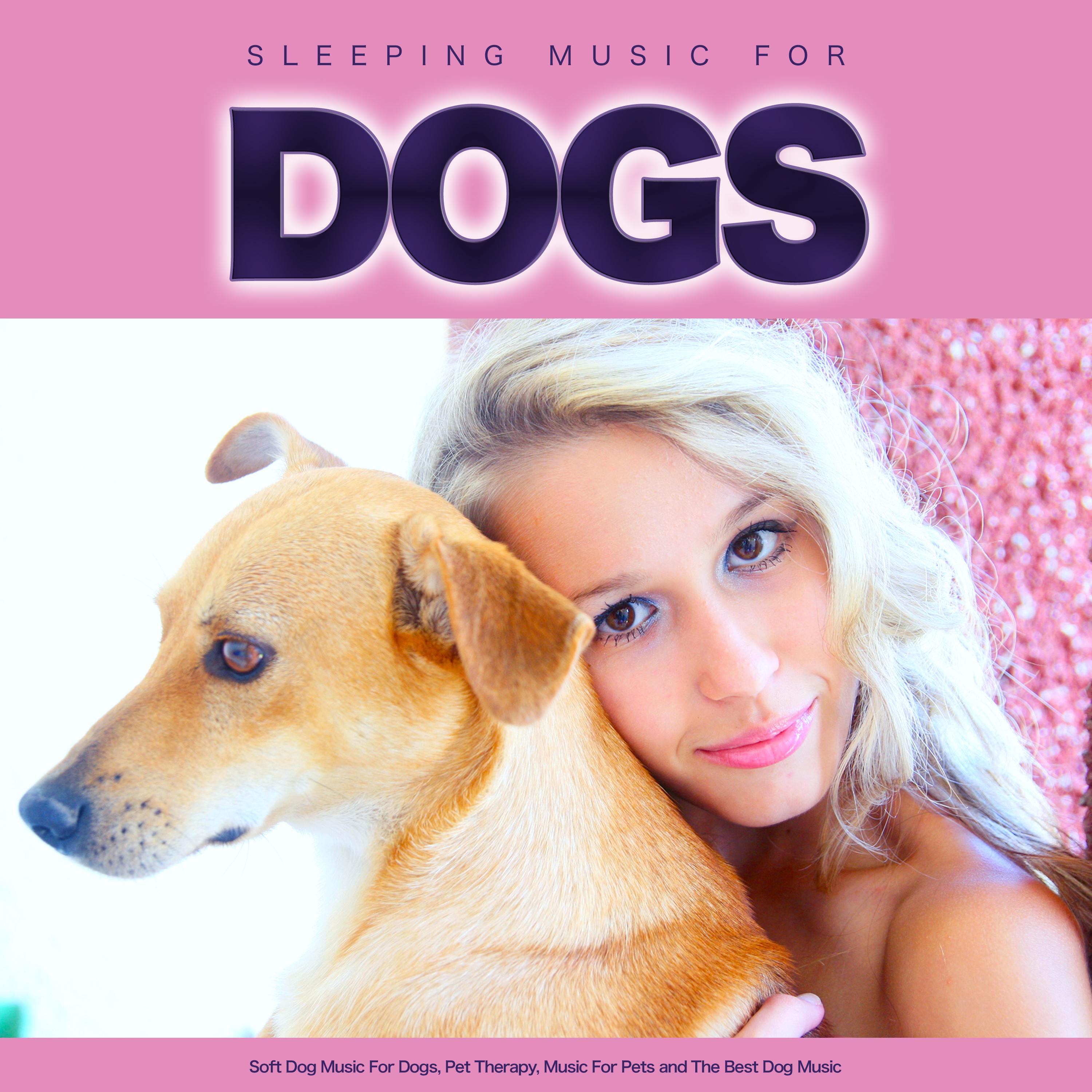 Music For Dogs