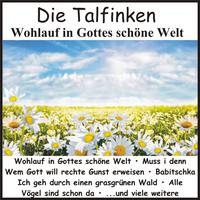 Wohlauf in Gottes schöne Welt