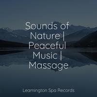 Sounds of Nature | Peaceful Music | Massage