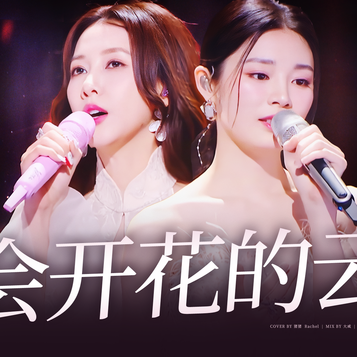 会开花的云(纯人声ver.)封面