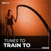 Tunes To Train To 009