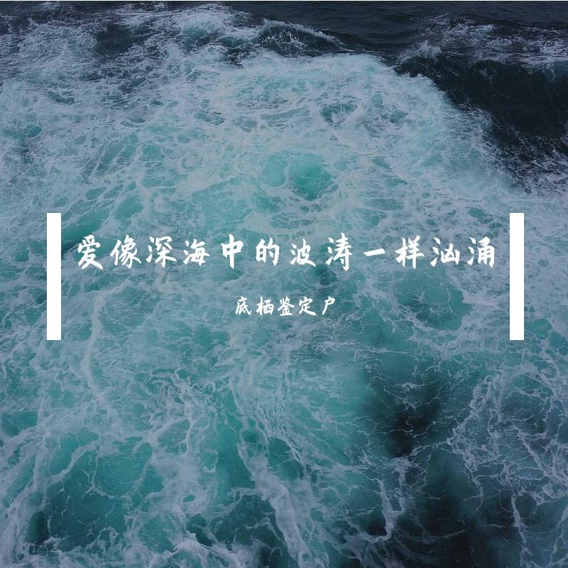 爱像深海中的波涛一样汹涌封面