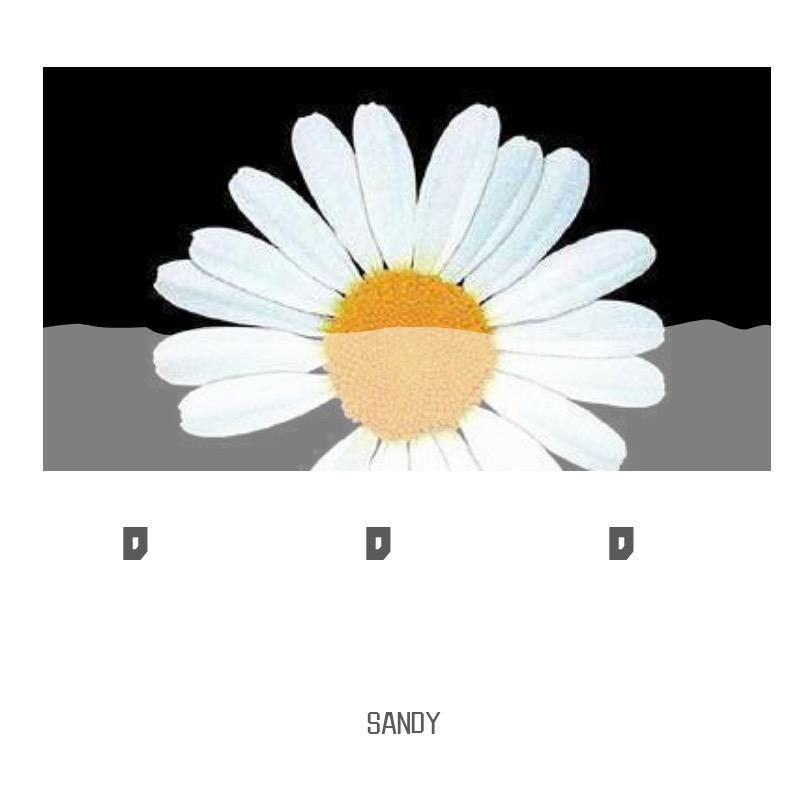 探清水河 （琵琶 板胡）（翻自 西彬）