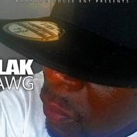 BlakDawg