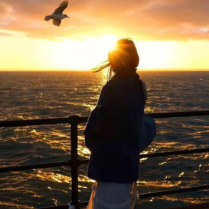 2026美加墨世界杯