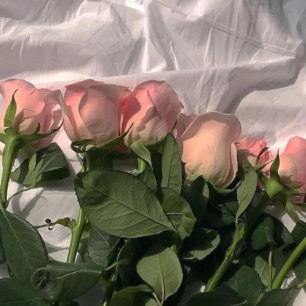 全身心放松舒缓音乐 房间循环歌曲