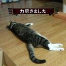 终极柠檬鱼