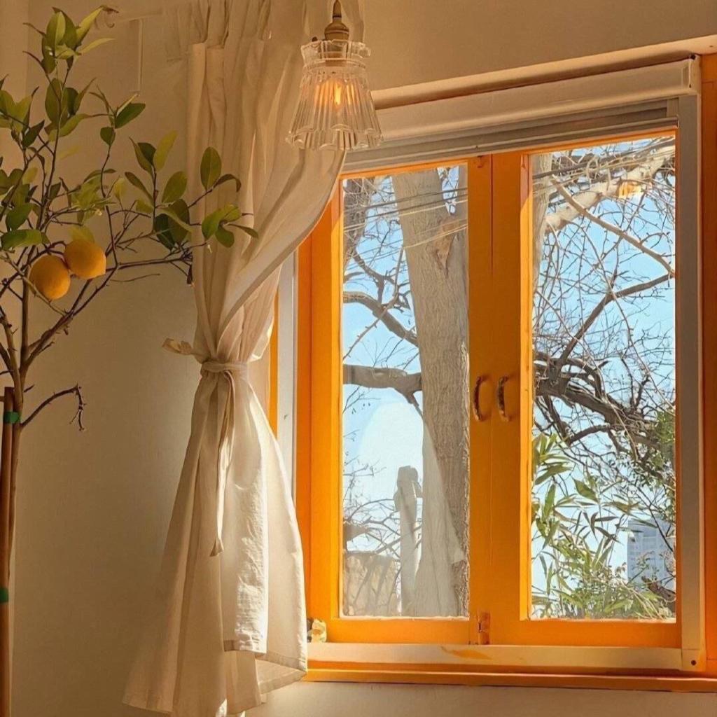 原舍民宿纯音乐