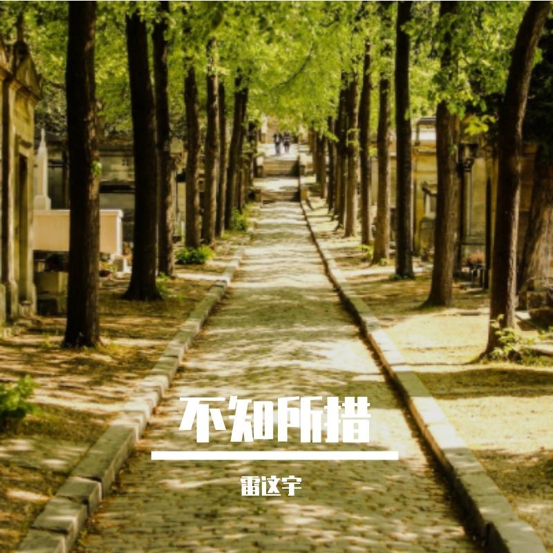 不知所措封面