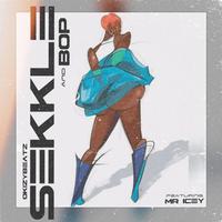 Sekkle & Bop (feat. Mr Icey)