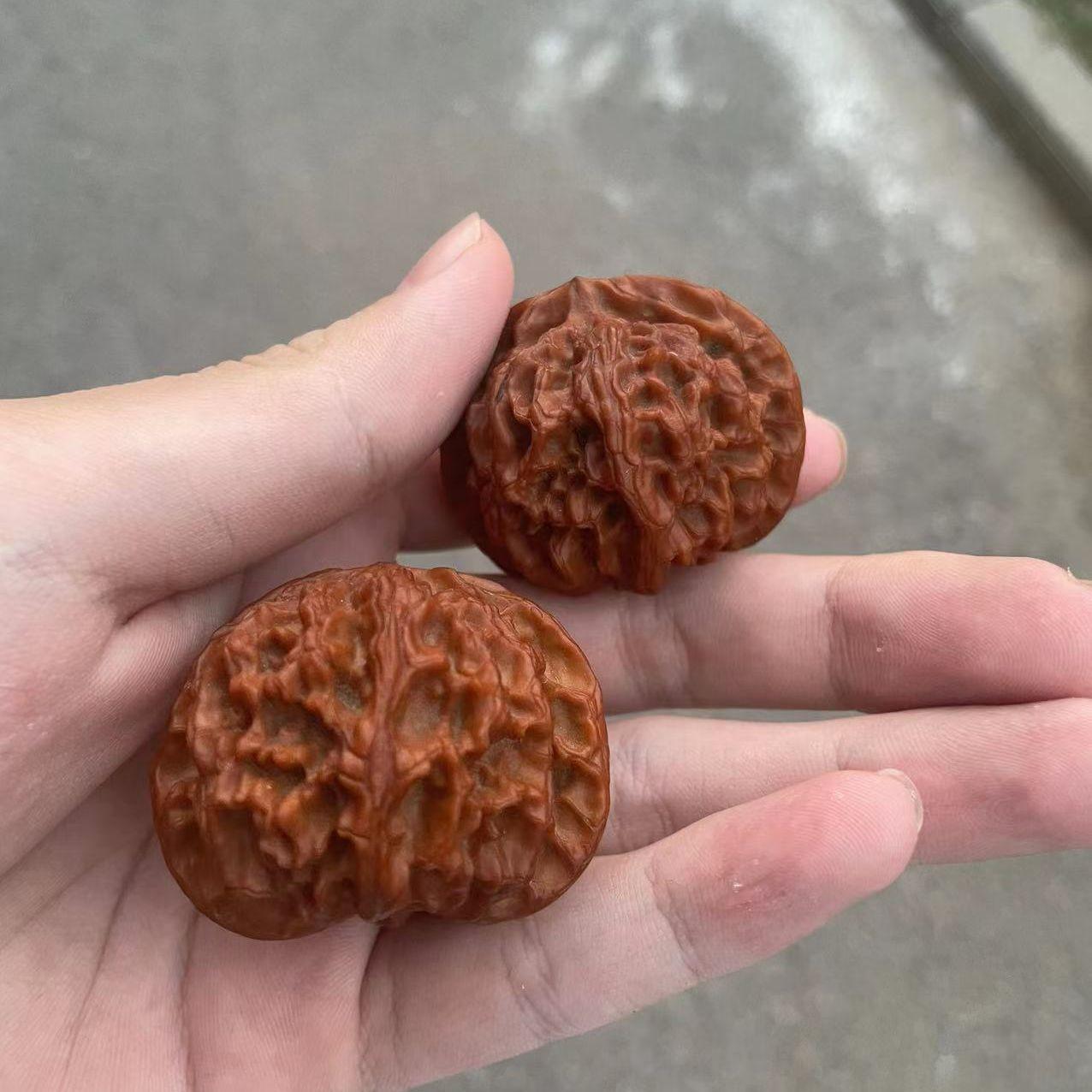 爆肝drill封面