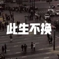 执迷不悟 (电音版)封面