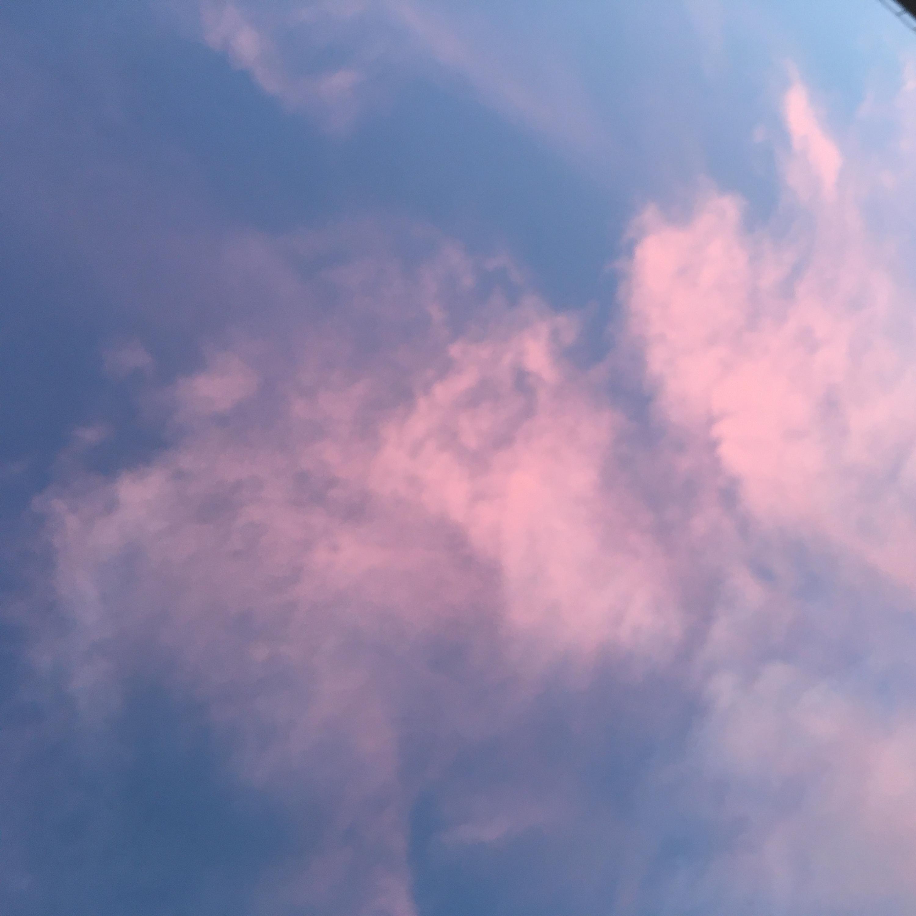 Social Insecurities (Acoustic) (Acoustic)