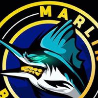 MarlinBeats资料,MarlinBeats最新歌曲,MarlinBeatsMV视频,MarlinBeats音乐专辑,MarlinBeats好听的歌