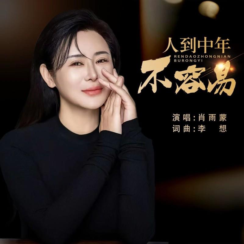 人到中年不容易 (DJ阿能版)封面