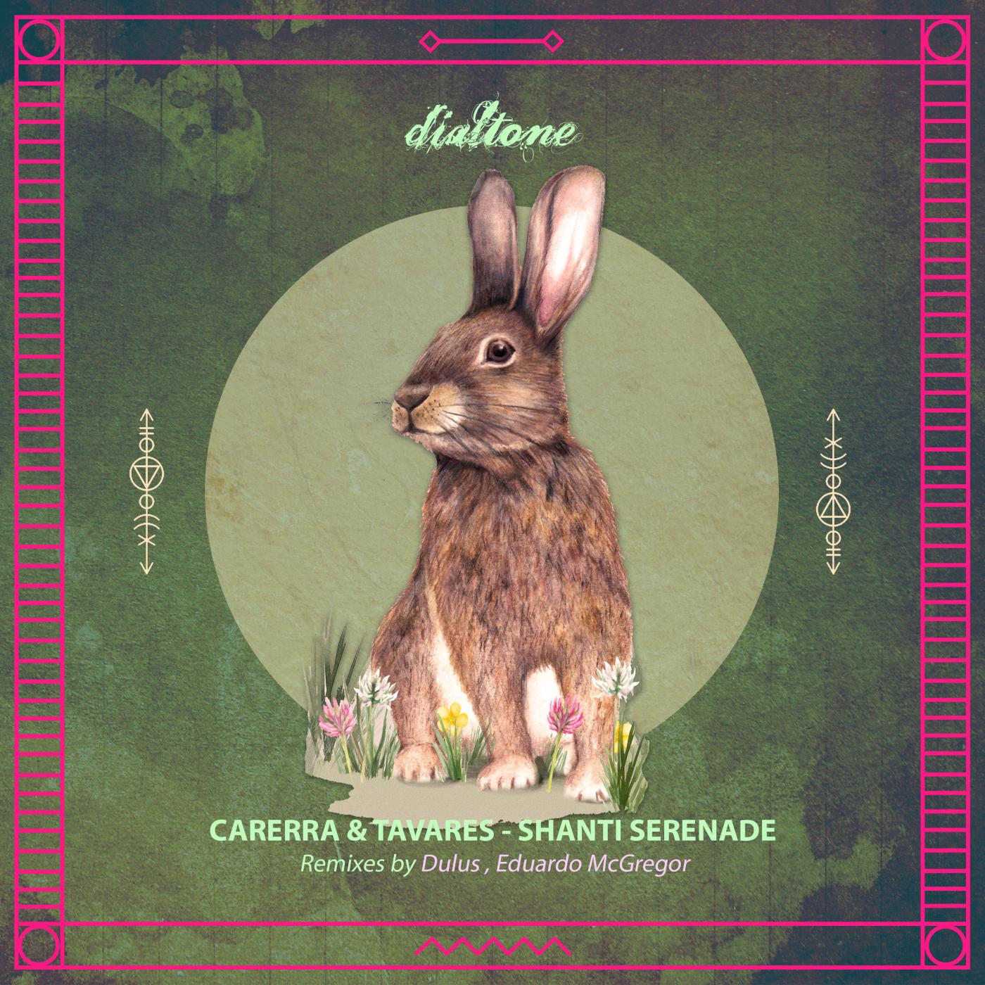 I Rise (Dulus Remix)