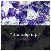 The Tulip