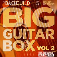 Big Guitar Box 2