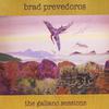 Brad Prevedoros - Orcas in the Strait