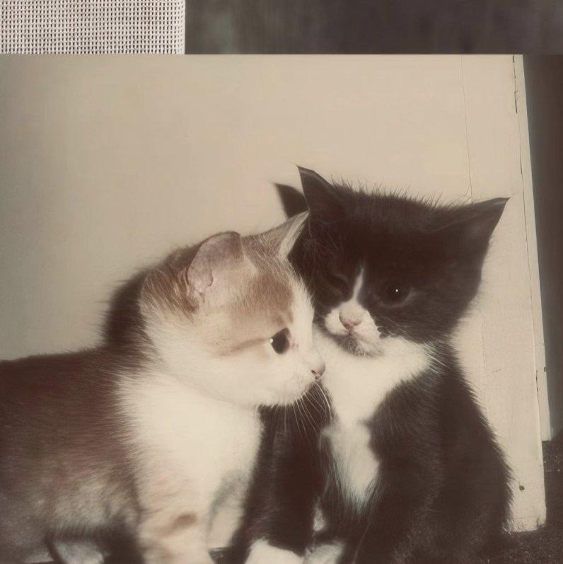 失眠症（insomnia）