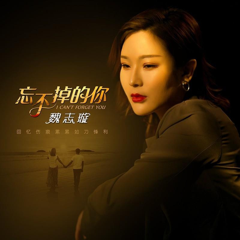 忘不掉的你 (伴奏)封面