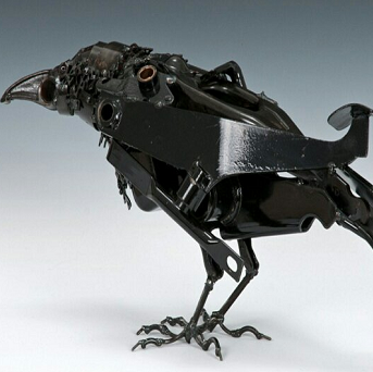 豆浆是一条边牧