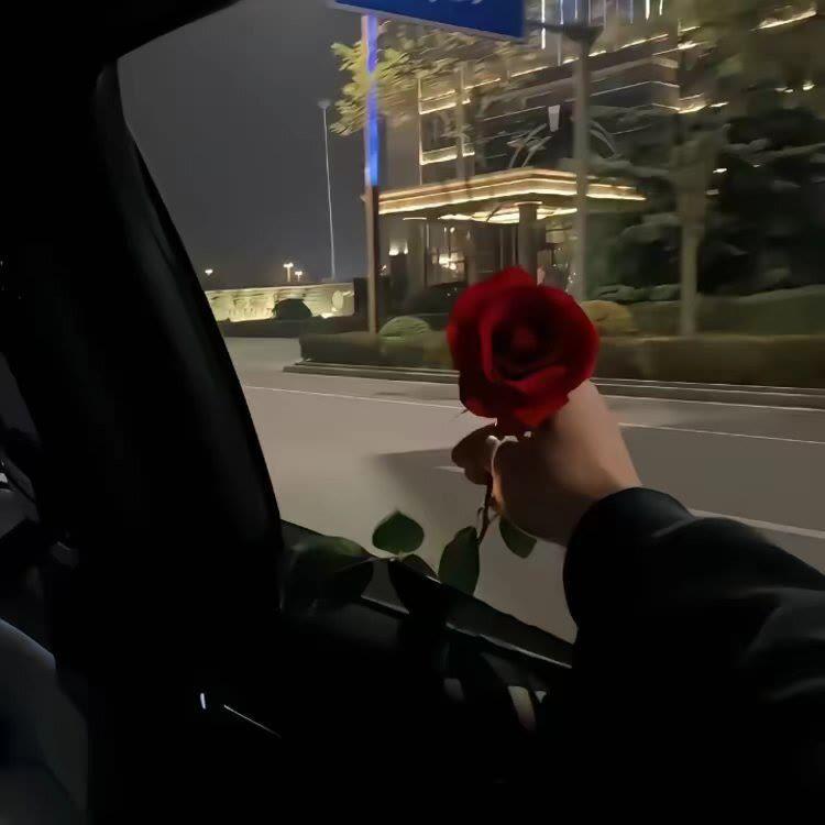身后无点灯封面